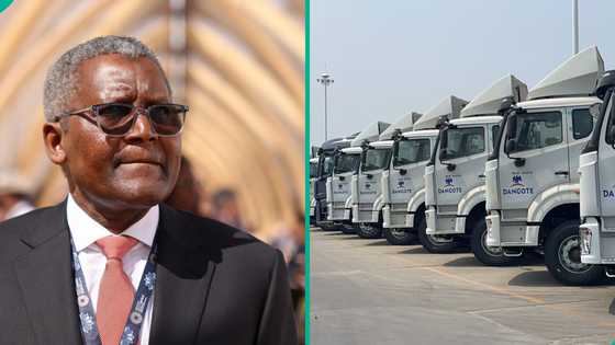 Dangote refinery releases 10 benefits of free distribution of petrol