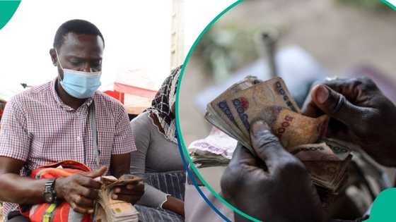 World’s highest minimum wages: What ₦70,000 really buys a Nigerian worker vs Australia and Europe