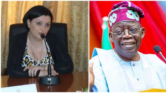 "We are ready to work with you": EU ambassador tells President-elect Bola Tinubu