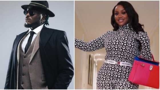 "Chioma what did you add in your stew?" Reactions as Peruzzi advises men to go for women that can cook