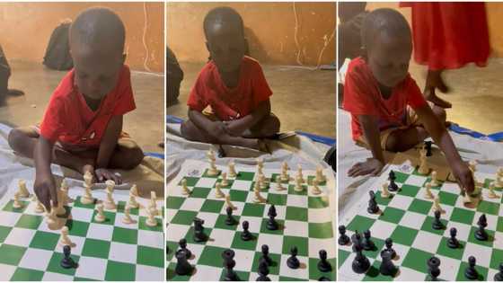 "He is a genius": Little boy, 4, plays chess perfectly, video of his amazing skills goes viral on Twitter
