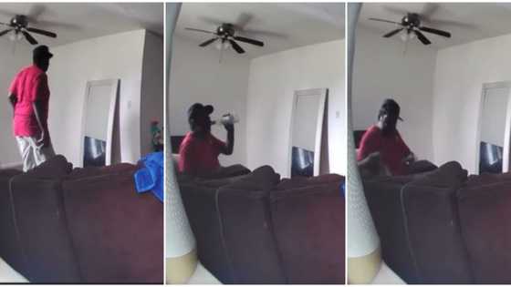 "I really can't believe": Lady catches maintenance man boldly drinking her wine on her couch, shares video