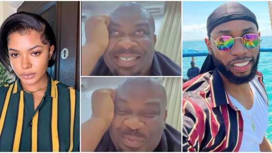 Don Jazzy joins 'shippers' association, blushes as he watches Liquorose and Emmanuel on their date
