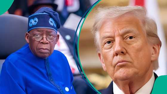 "This is the time": Man urges Nigerians amid Trump's threat to Tinubu, mentions 1 important thing