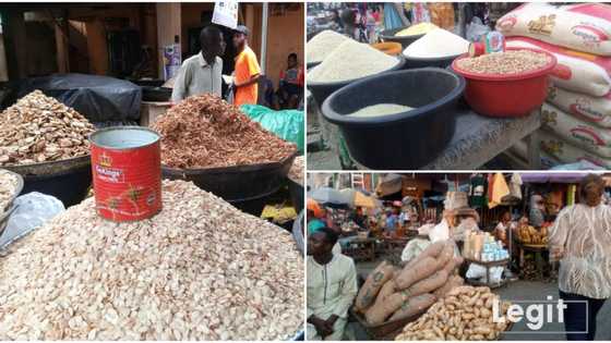Legit.ng Weekly Price Check: Top 6 goods whose cost price increased in Lagos market this 2022 and why