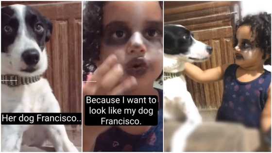 I want to look like my dog - Little girl makes up her face in funny video, stirs reactions