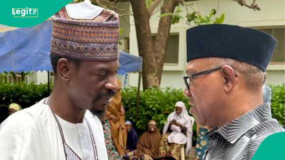 'Zai yi wahala Obi ya yi shugaban kasa,' Hadimin Buhari ya yi martani ga Obidients
