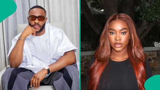 "Moment BBNaija's Dede and Kola engage in heated exchange during reunion trends: "Love gone sour"