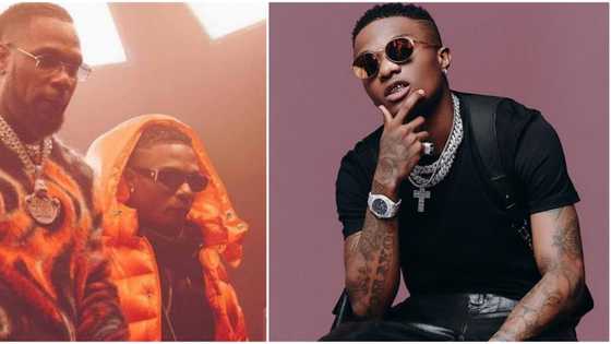 There is only one king - Burna Boy's PA shades Wizkid as he slams singer's fans for badmouthing his boss