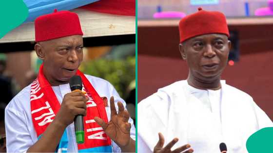 Sanata Ned Nwoko ya fadi abubuwa 2 da za su dawo da zaman lafiya Kudu maso Gabas