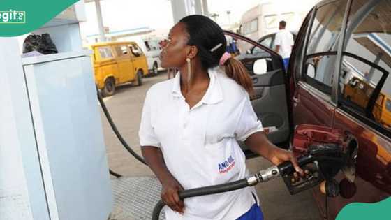 Marketers expect cheap fuel as Dangote Refinery finally moves to sell products