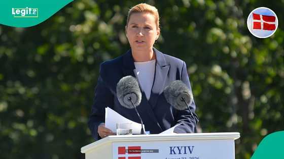 Denmark bans foreign researchers from receiving 4 benefits in the country, mentions them