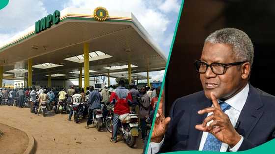 Oil marketers fear losses as price war between NNPC, Dangote Refinery gets heated