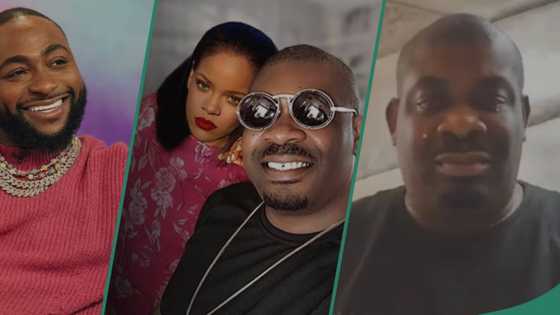 "Don Jazzy fit dey one corner dey cry": Davido gushes over Rihanna after comment about Unavailable