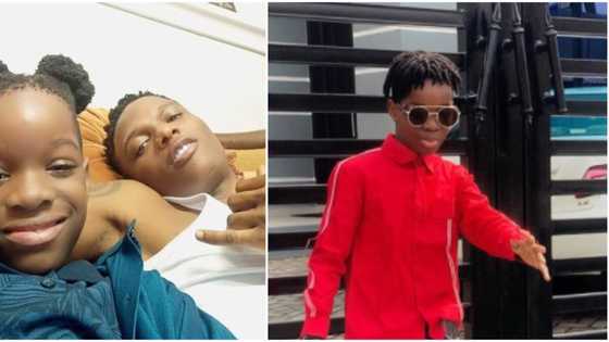 3 girls are fighting over him: Wizkid's first baby mama Shola shares conversation with Tife's teacher
