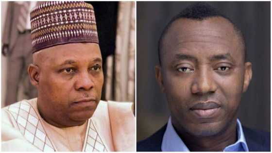 Drama as APC's vice-presidential candidate, Sowore 'fight dirty' in Abuja over 1 key thing