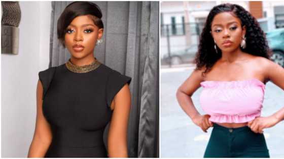 I don't want to be shipped with any of my male friends or colleagues, BBNaija's Diane warns fans