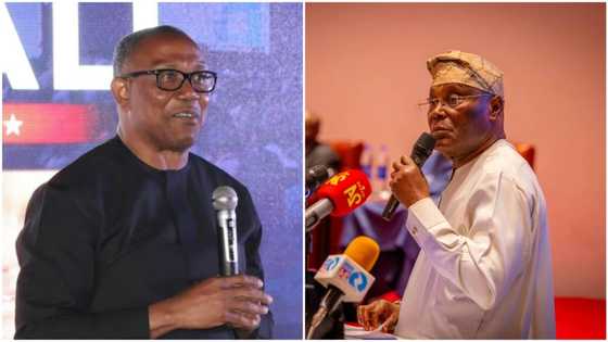 2023 presidency: Atiku-Peter Obi collabo coming? Labour Party clears air