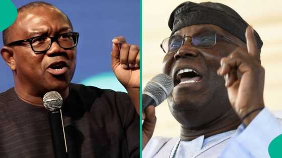Obi asks Atiku to cede ADC ticket: "Why should we have a northerner again?"