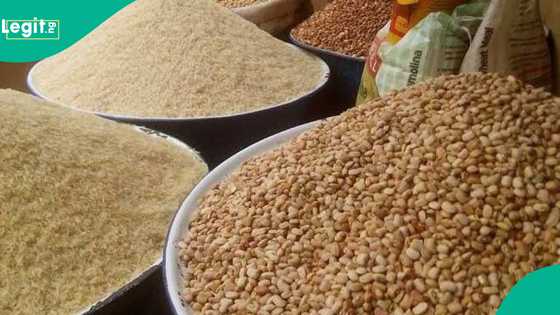 NOA ta gargadi 'yan kasuwa, ta gano abubuwa 2 da za su kawo wahala a watan Ramadan