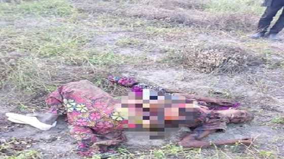 Sojojin sun tarwatsa 'yar kunar bakin wake, sun yi nasara kan 'yan ta'adda, hotuna