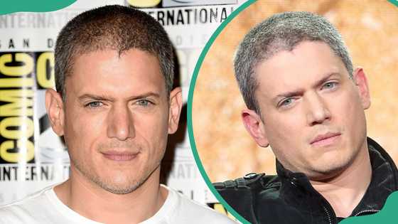 Wentworth Miller's relationship history explored, from rumours to reality