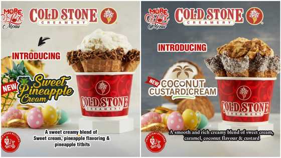 Enjoy Cold Stone’s newest Sweet Pineapple Cream & Coconut Custard Cream flavours!
Save cost and enjoy affordable deals now