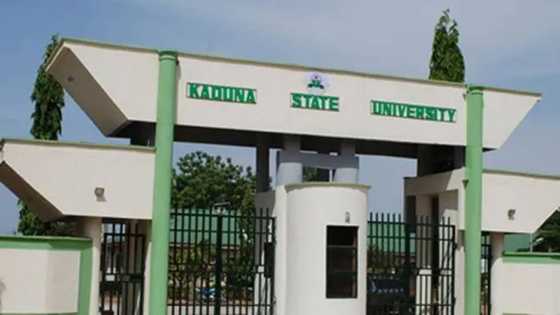 Jami'ar Kaduna ta yi wa malamai 20 ƙarin girma zuwa matakin farfesa, ta kori guda ɗaya