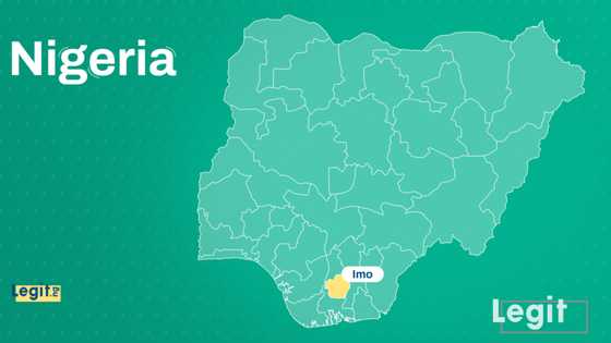 Tragedy as gunmen kill 2 police operatives, 1 civilian in Imo state