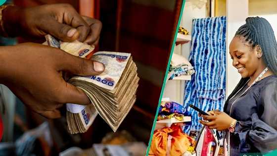 How to apply for business loans online as BOI launches MyBOI portal