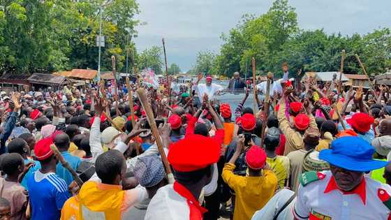 "Yadda Zulum Ya Umarci ‘Yan Sanda Su Garkame Sakatariyar NNPP a jihar Borno"