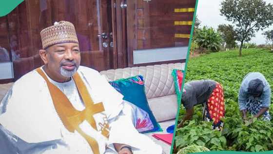 BREAKING: Nigerian govt discloses actual cause of food scarcity, hardship in country