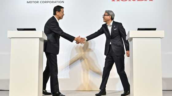 Nissan shares plunge as report says Honda merger talks off