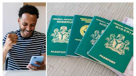 “Come back in 2 weeks”: Minister moves to clear backlog as passport ranking rises with new visa-free entry