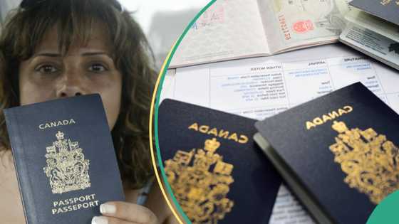 List of requirements Nigerians must meet to become Canadian citizens