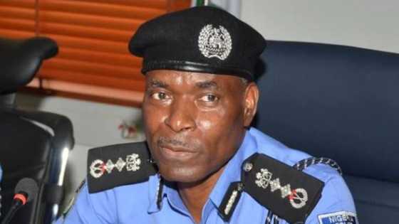 Abuja is one of the safest cities, has one of the lowest crime rates in the world - IGP insists, despite kidnappings