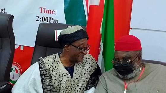 Rikicin PDP: An Naɗa Sabon Shugaban BoT Na Ƙasa Bayan Walid Jibrin Ya Yi Murabus