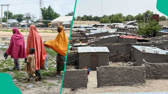 Just In: Boko Haram storms 2 Borno, Yobe at night, carries out multiple deadly attacks