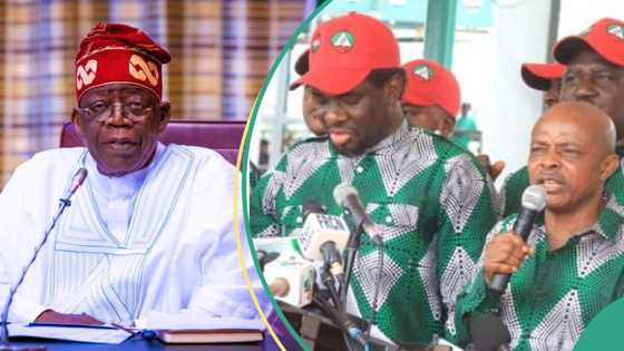 Strike: Tinubu’s govt approves 30-day implementation plan for MoU with organised unions