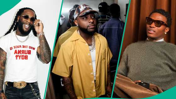 Journalist Emmanuel Daraloye makes claim about Nigerian singers over sold out show: "Liars"