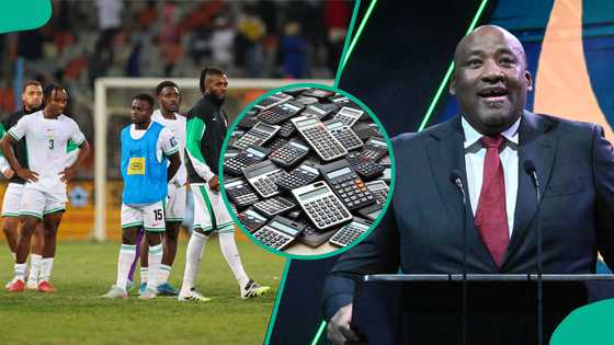 "Buy calculators": SA sports minister sends message to Nigerians as Super Eagles WC hopes fade