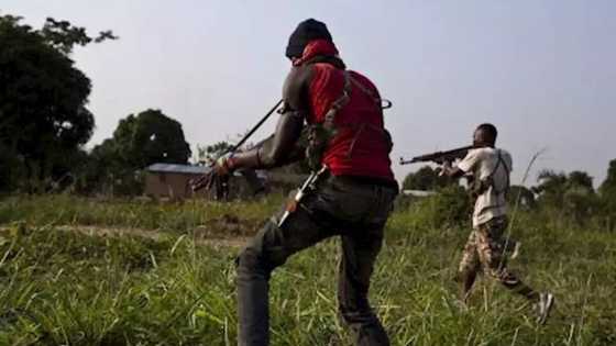Twist of fate as bandits turn against each other in this state, many dead, injured