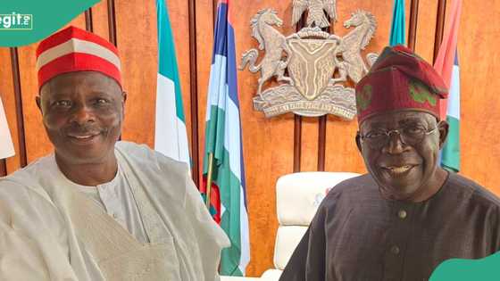 Kano: Kwankaso reached agreement with Tinubu on Supreme Court judgement? NNPP leader opens up