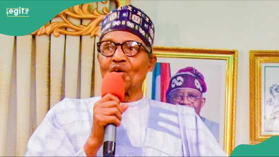 Yadda gwamnonin Arewa 19 suka taya Buhari murnar cika shekaru 82