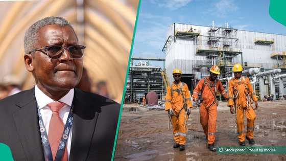 Dangote redeploys engineers from refinery, workers speak on new jobs