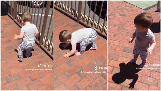 "Poor baby": Kid runs away from his shadow, video shows him crying in dad's presence