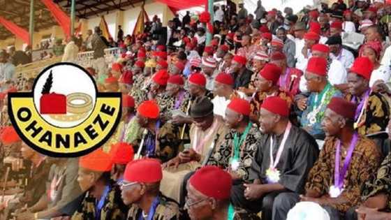 Ku daina rokon Buhari ya saki Nnamdi Kanu, Ohanaeze Ndigbo ga yan siyasa da dattawan Igbo