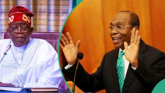 Gwamnatin Tinubu za ta kwace wasu bankuna 2 da aka siyar lokacin Emefiele, an bayyana dalili
