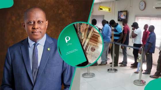 CBN, banks, fintechs unite to fix payment system gaps with new PSPC platform