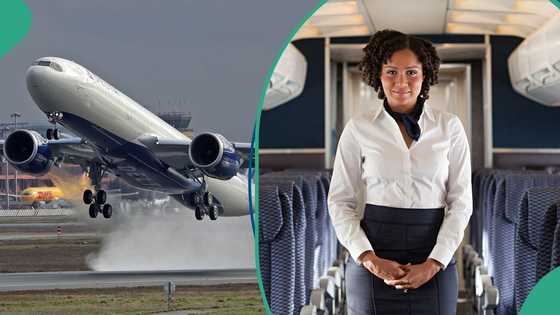 Apply now: United Nigeria Airlines announces exciting job opportunities with good salary